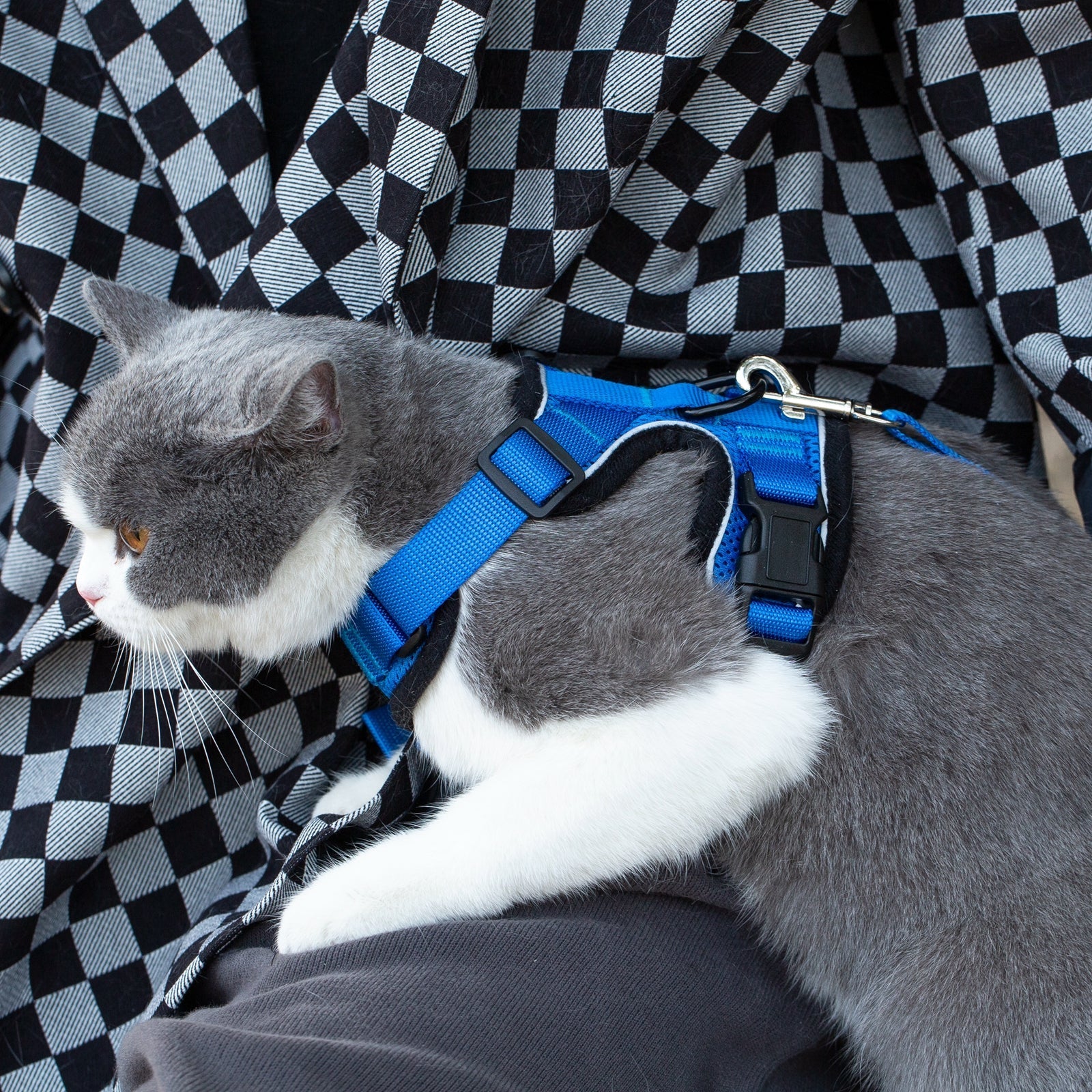 Mr. Peanut's PurrTrek Reflective Cat Harness with Matching Leash - Image 11