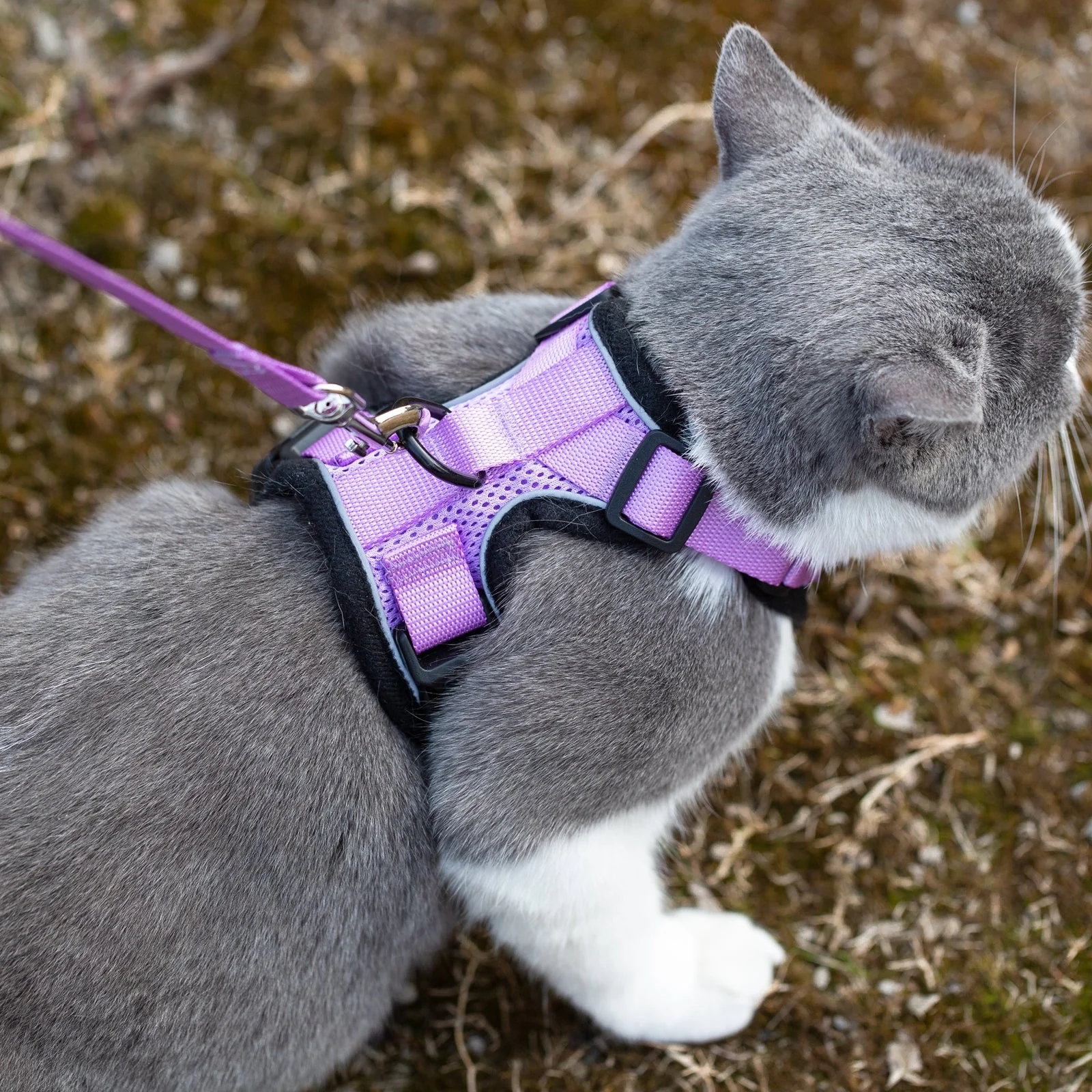 Mr. Peanut's PurrTrek Reflective Cat Harness with Matching Leash - Image 14