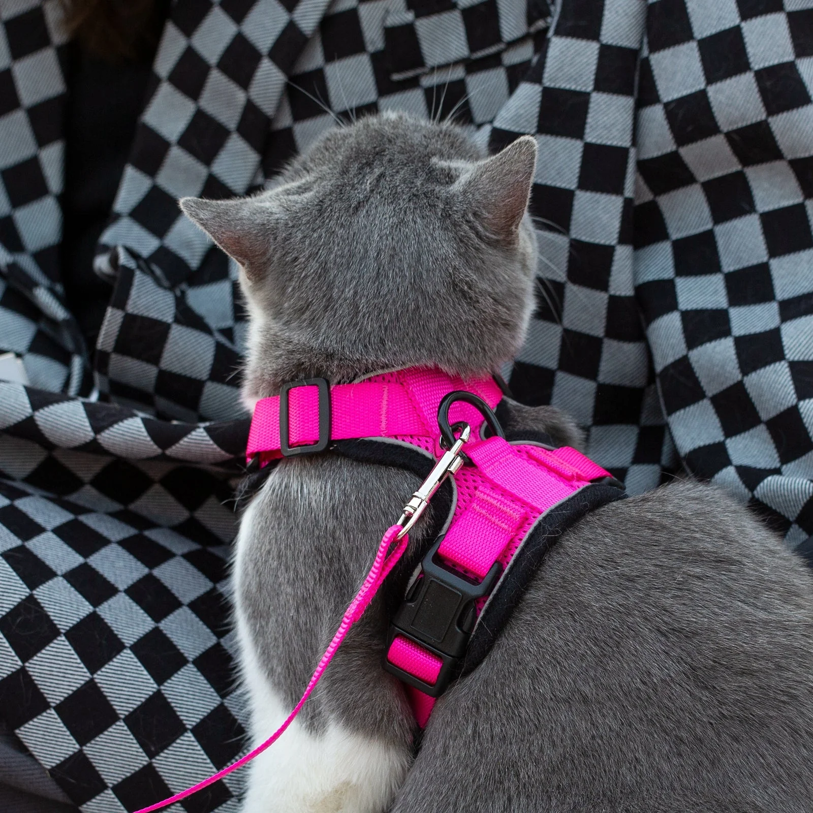 Mr. Peanut's PurrTrek Reflective Cat Harness with Matching Leash - Image 17