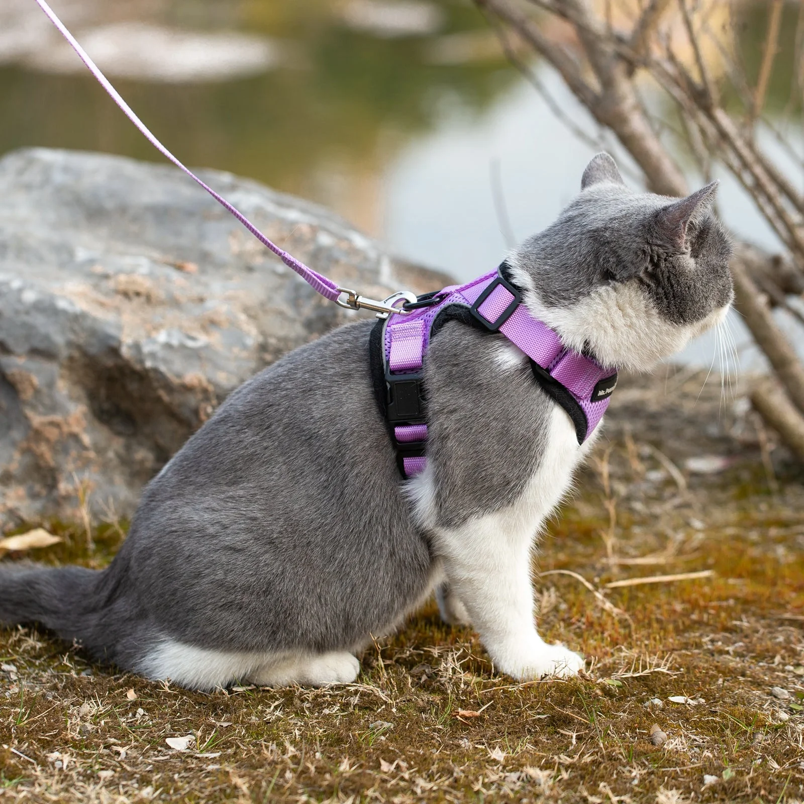 Mr. Peanut's PurrTrek Reflective Cat Harness with Matching Leash - Image 21