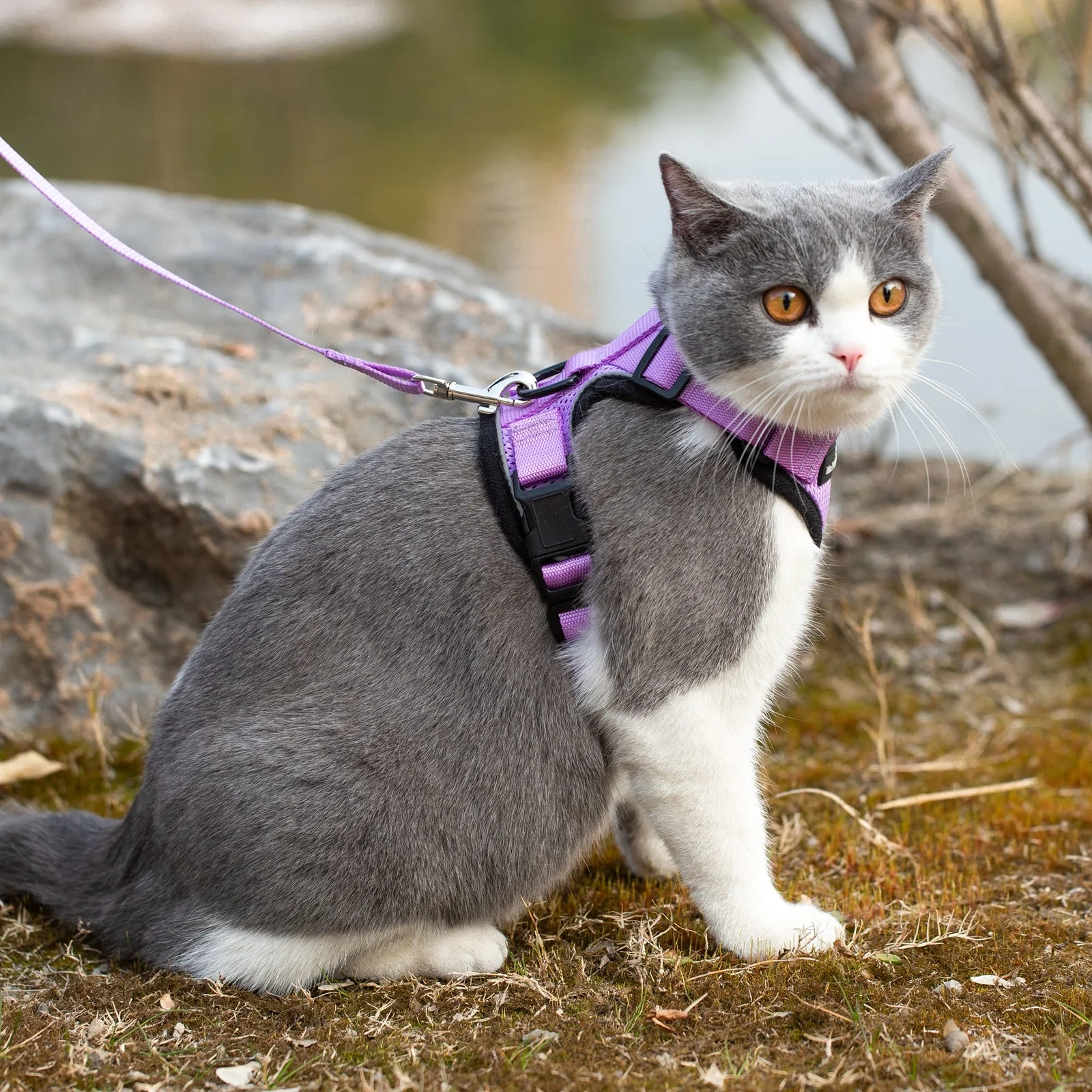 Mr. Peanut's PurrTrek Reflective Cat Harness with Matching Leash - Image 22
