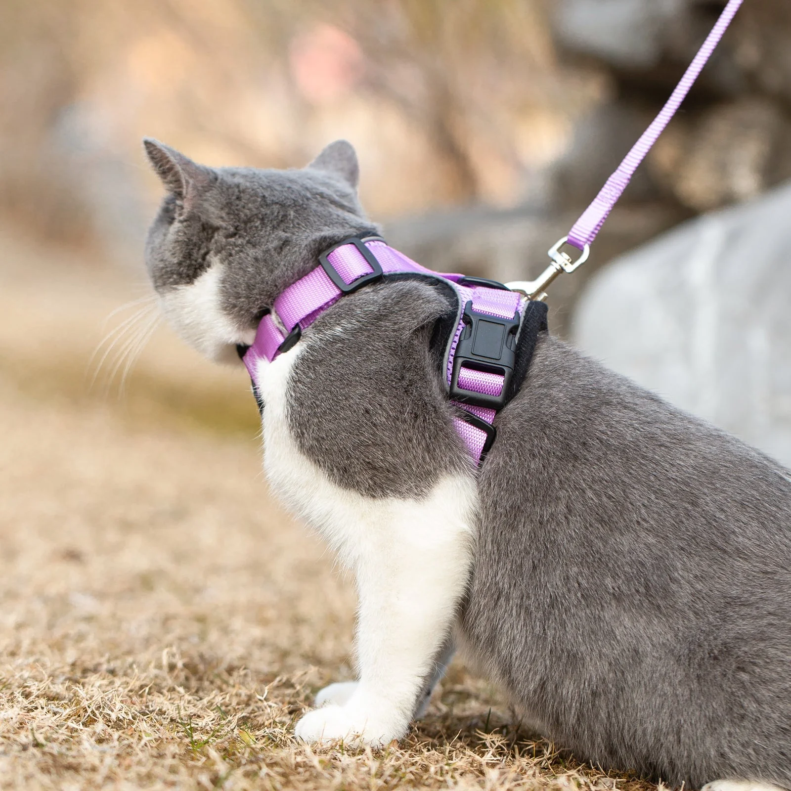 Mr. Peanut's PurrTrek Reflective Cat Harness with Matching Leash - Image 23