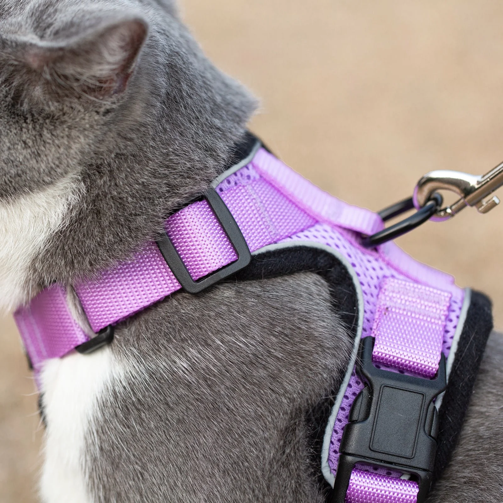 Mr. Peanut's PurrTrek Reflective Cat Harness with Matching Leash - Image 24