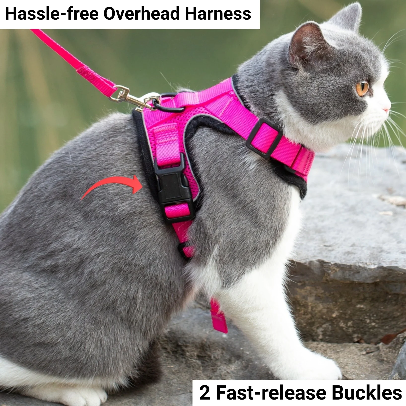 Mr. Peanut's PurrTrek Reflective Cat Harness with Matching Leash - Image 3