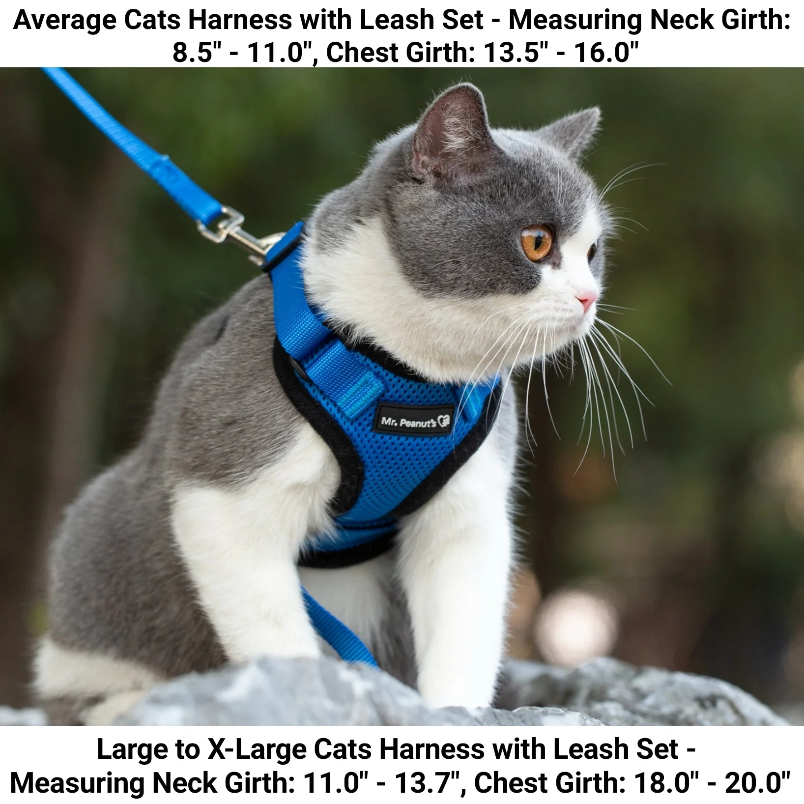 Mr. Peanut's PurrTrek Reflective Cat Harness with Matching Leash - Image 7