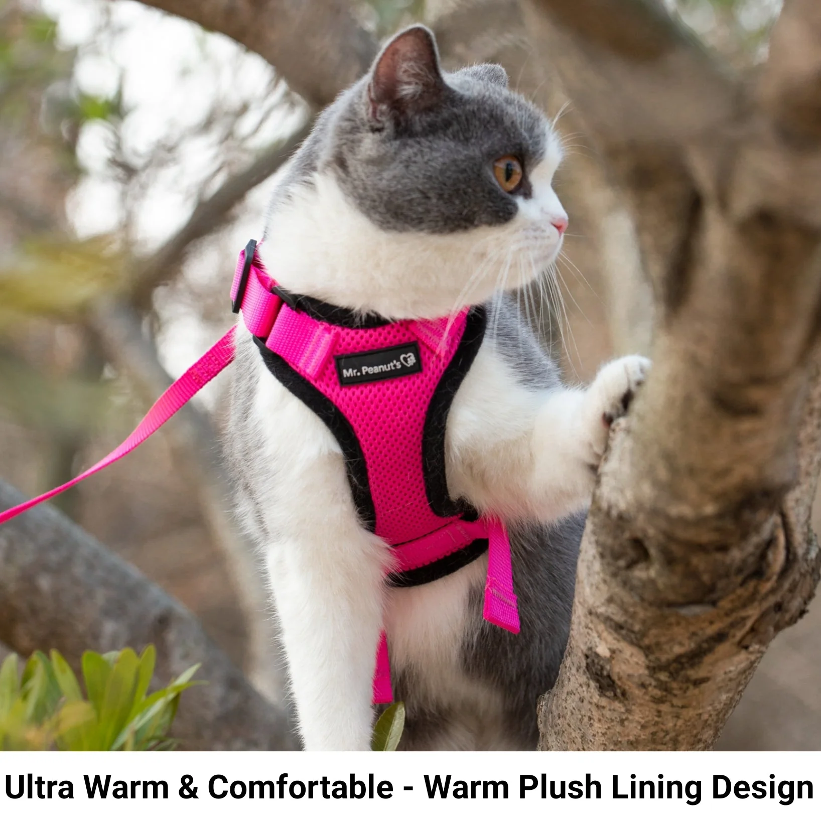 Mr. Peanut's PurrTrek Reflective Cat Harness with Matching Leash - Image 8