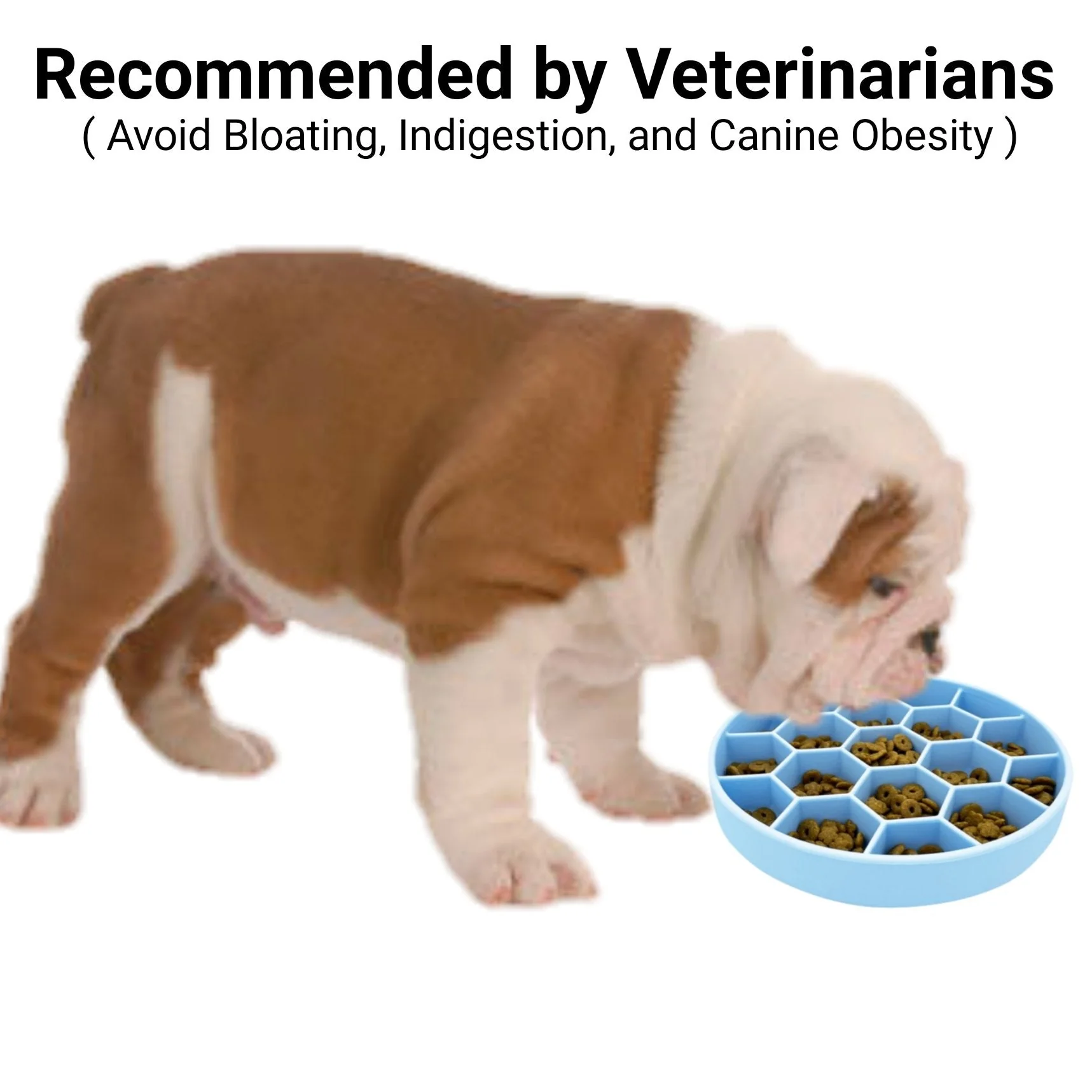 Mr. Peanut's Silicone Slow Feeder Dog Bowl - Image 5
