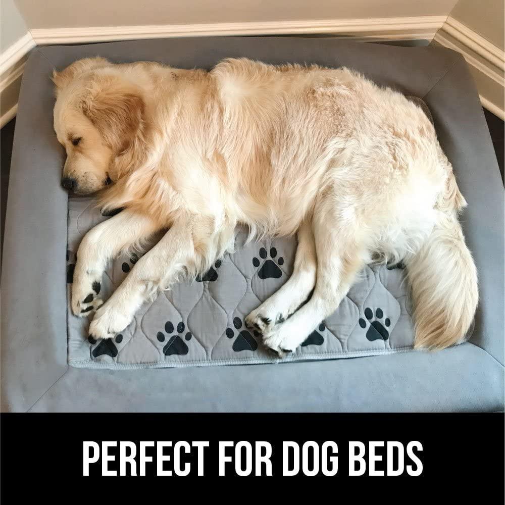 Mr. Peanut's Washable Reusable Pee Pads - Set of 3 - Thermal Waterproof and Leakproof Pet Carrier Comfort Mat - Available in 2 Sizes - Image 2