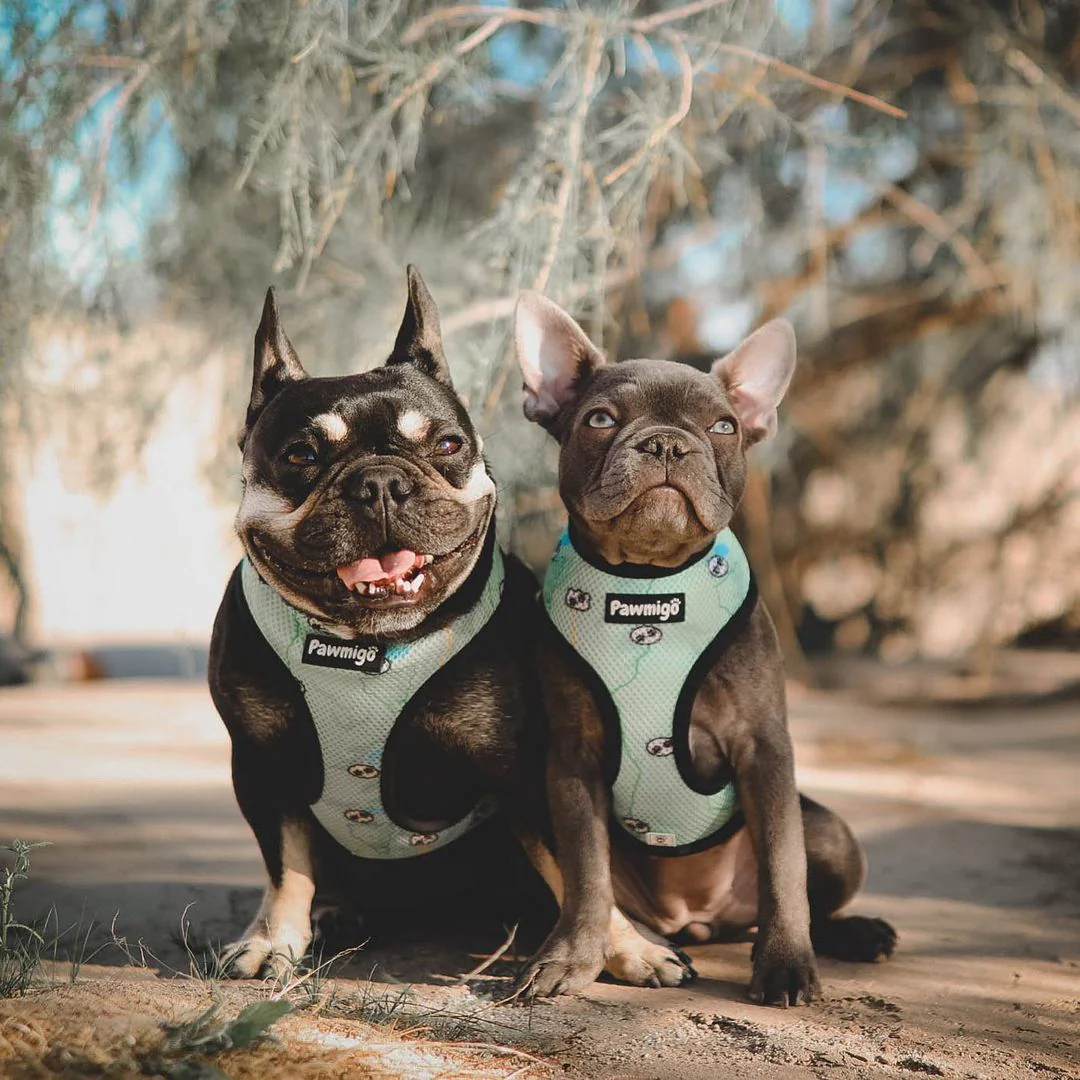 Muddy Paws Reversible Harness - Image 4