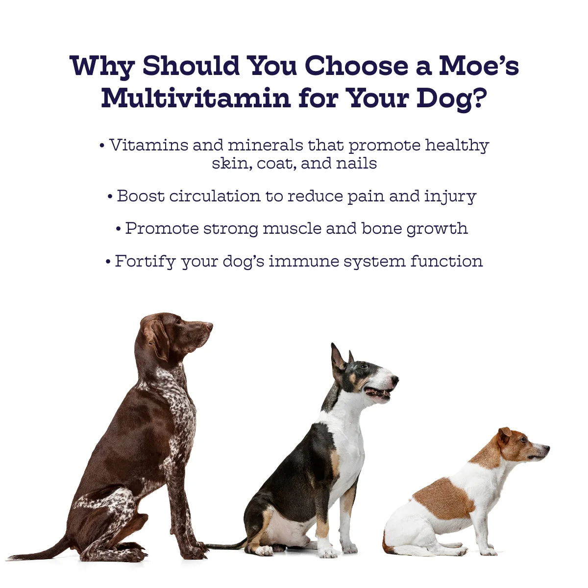 Multi-Plus Chews - Image 3