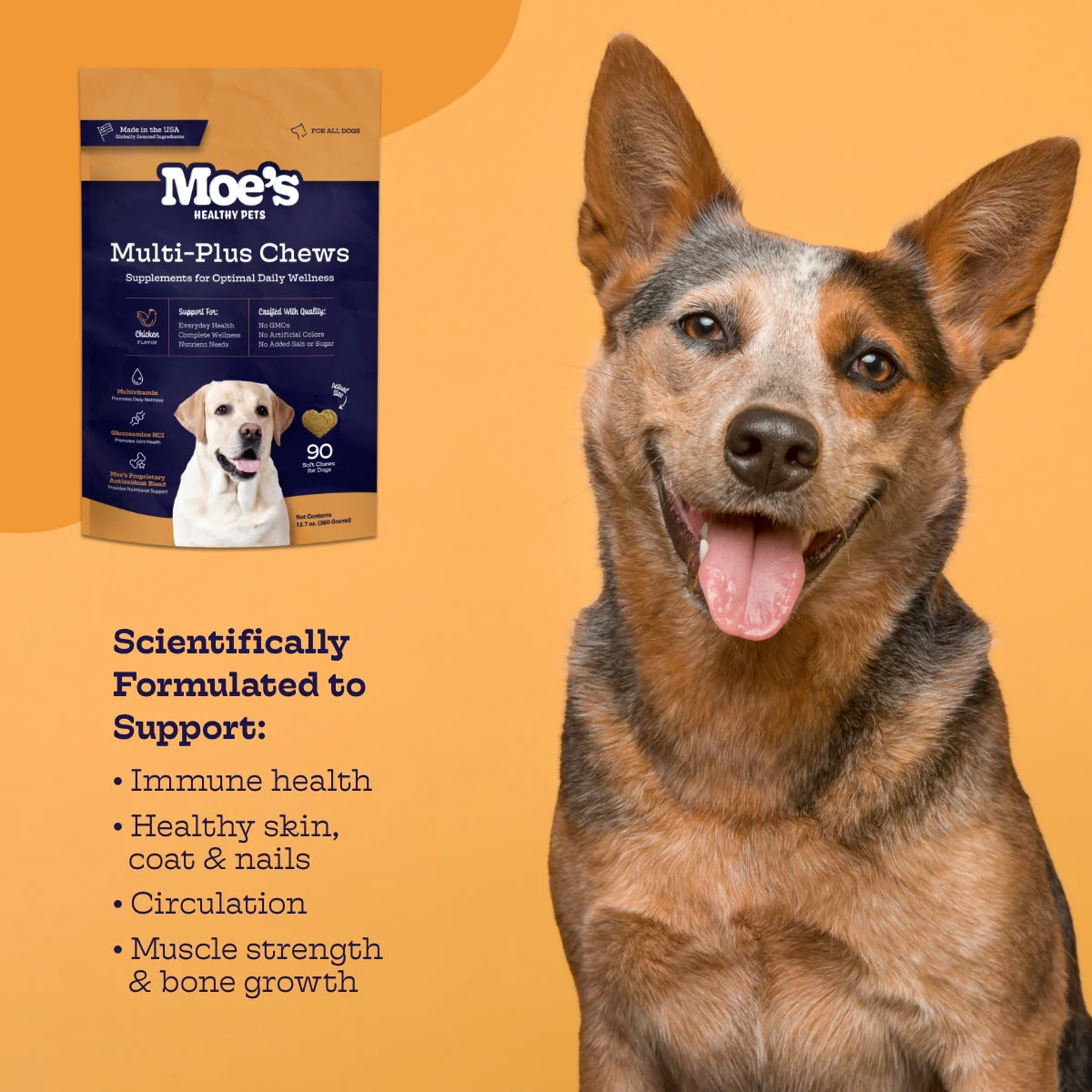 Multi-Plus Chews - Image 6