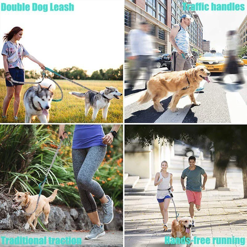 Multifunctional Handsfree Bungee Dog Leash - Image 2