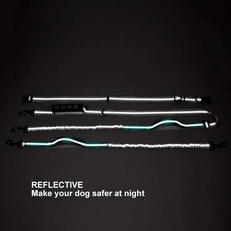 Multifunctional Handsfree Bungee Dog Leash - Image 3