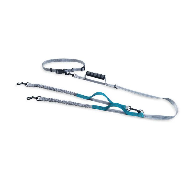 Multifunctional Handsfree Bungee Dog Leash - Image 6