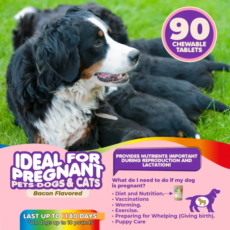 Multivitamin for Dogs & Cats. Prenatal Vitamins - Image 3