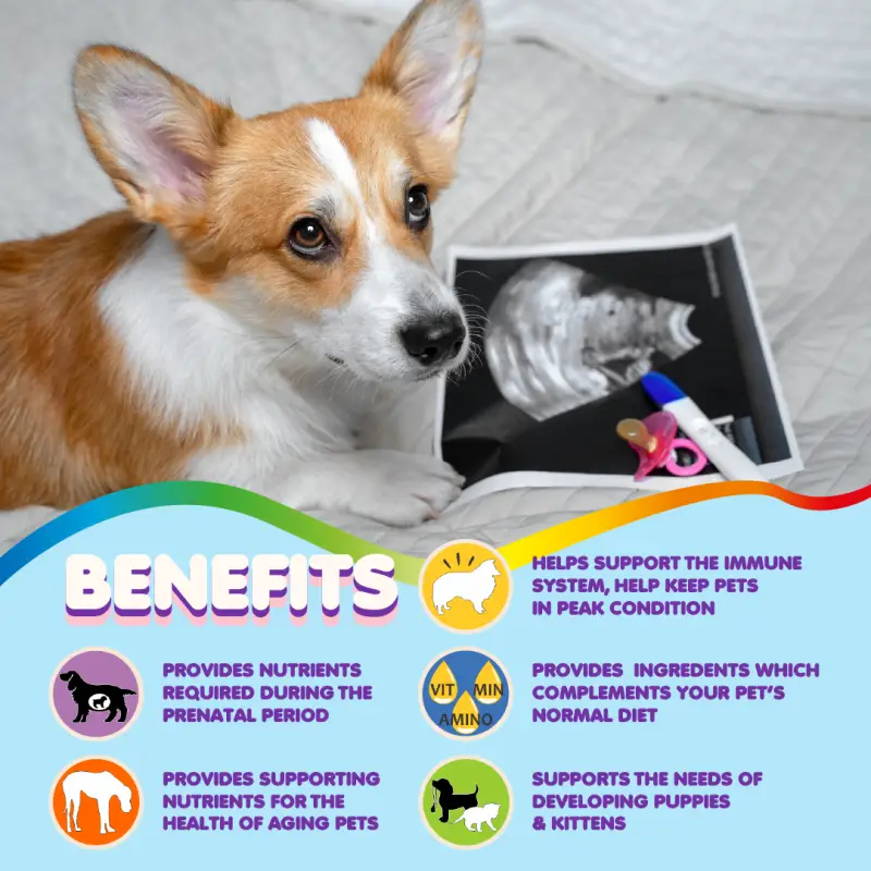 Multivitamin for Dogs & Cats. Prenatal Vitamins - Image 4