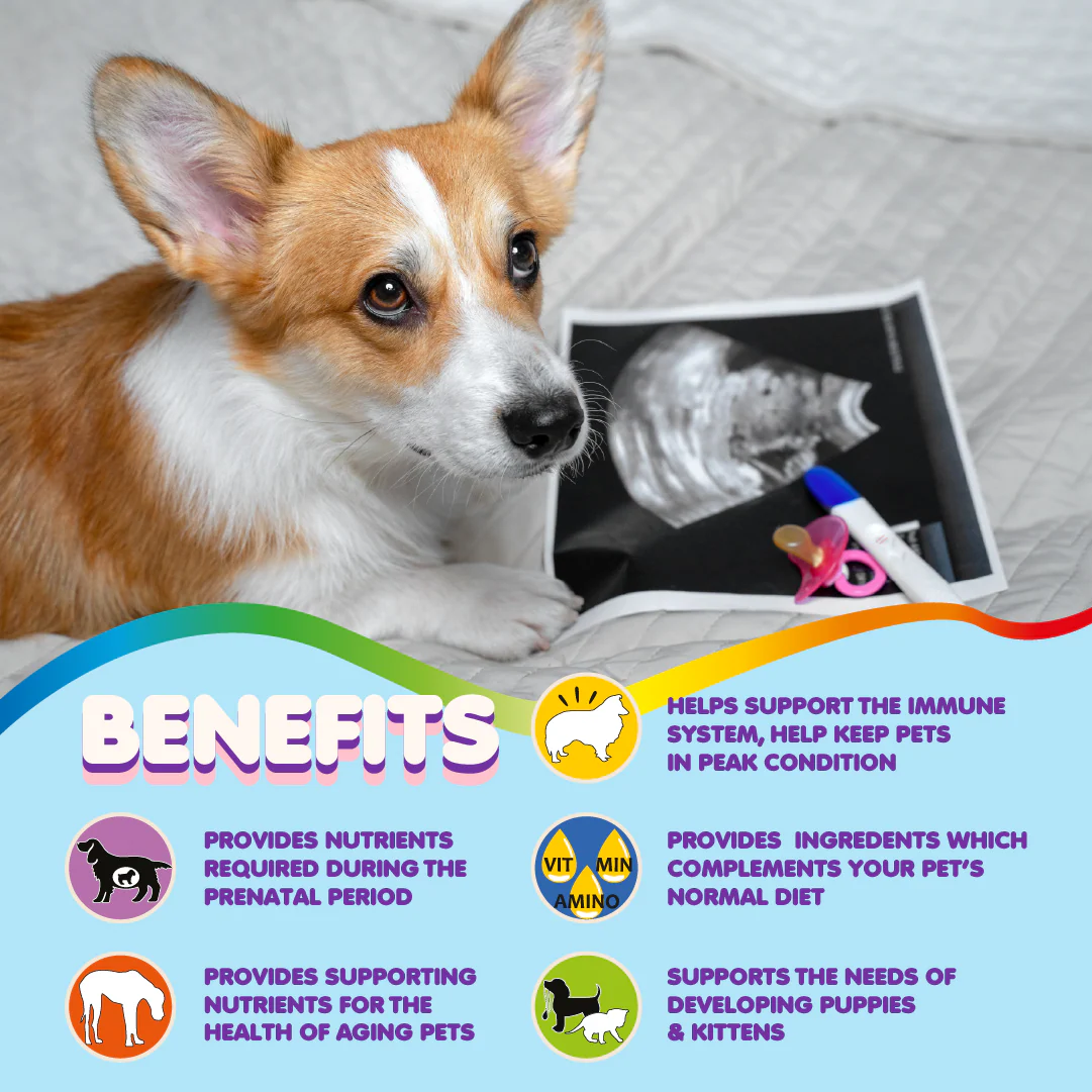 Multivitamin for Dogs & Cats. Prenatal Vitamins. 60 Tabs - Image 2