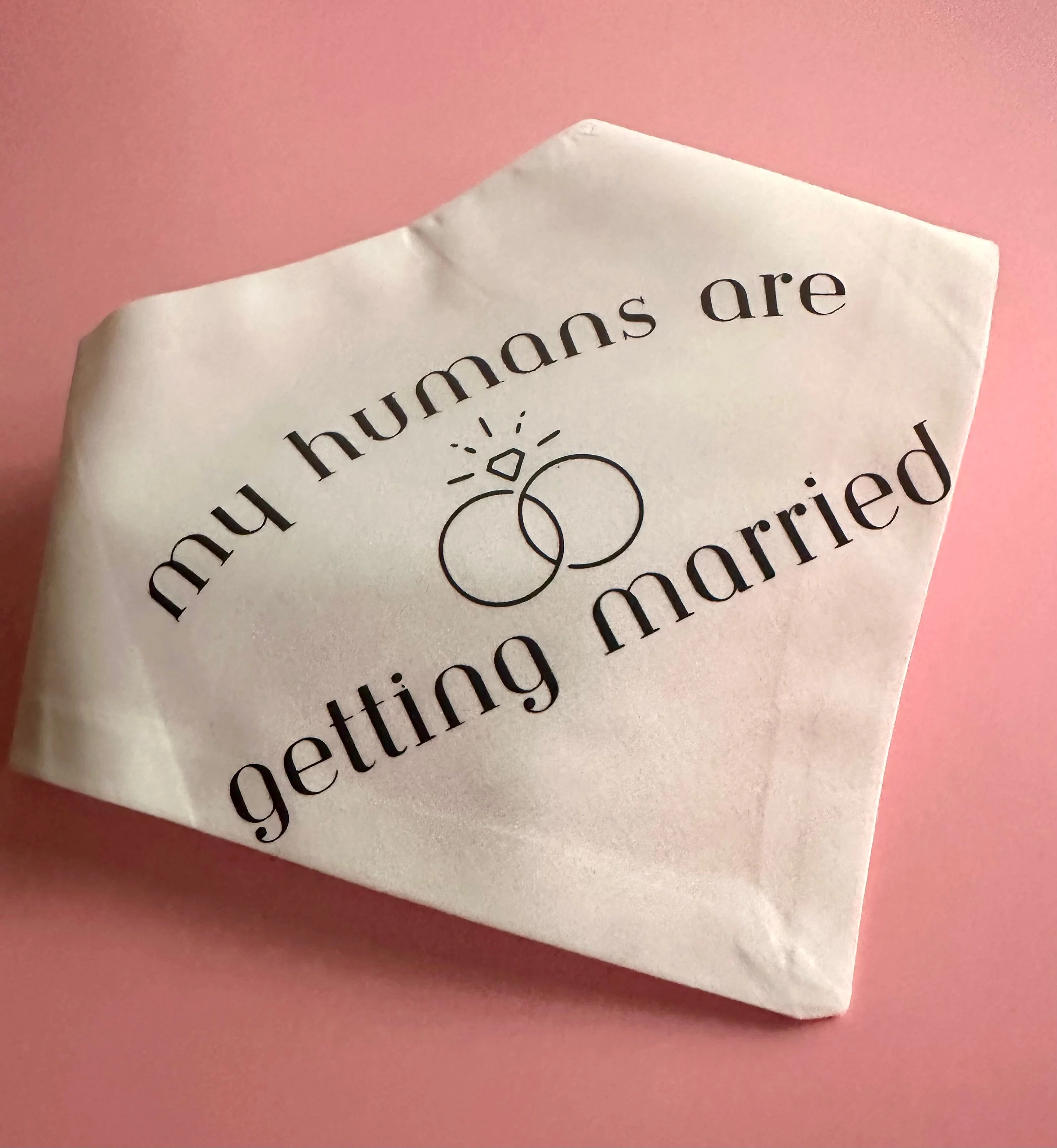 My Humans Are Getting Married Dog Bandana New Arrival - Image 2