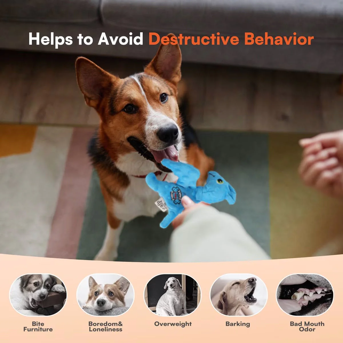 My T-Rex - Squeaky Dog Toys - Peter The Mini Pterodactyl Plush Dog Toy with Crinkle Paper - S - Image 4