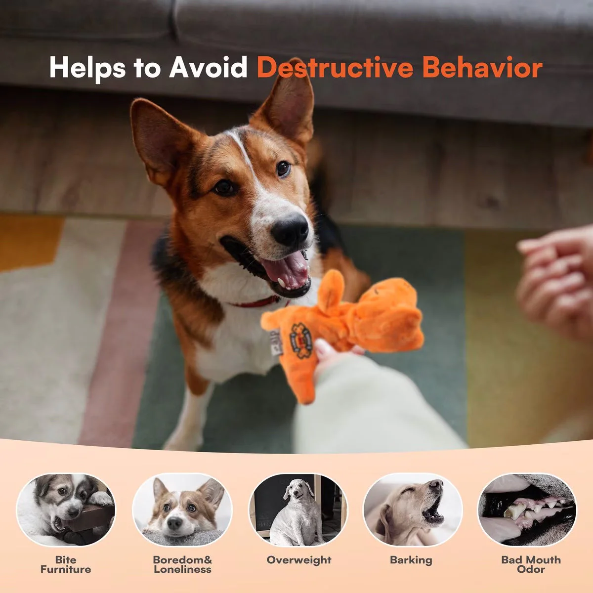 My T-Rex - Squeaky Dog Toys - Tim The Mini T-Rex Plush Dog Toy with Crinkle Paper - S - Image 4