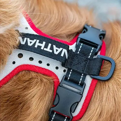 Nathan reflective dog harness - Image 2
