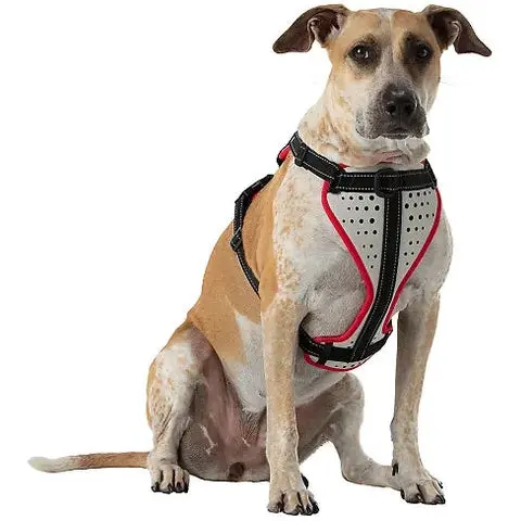 Nathan reflective dog harness - Image 3