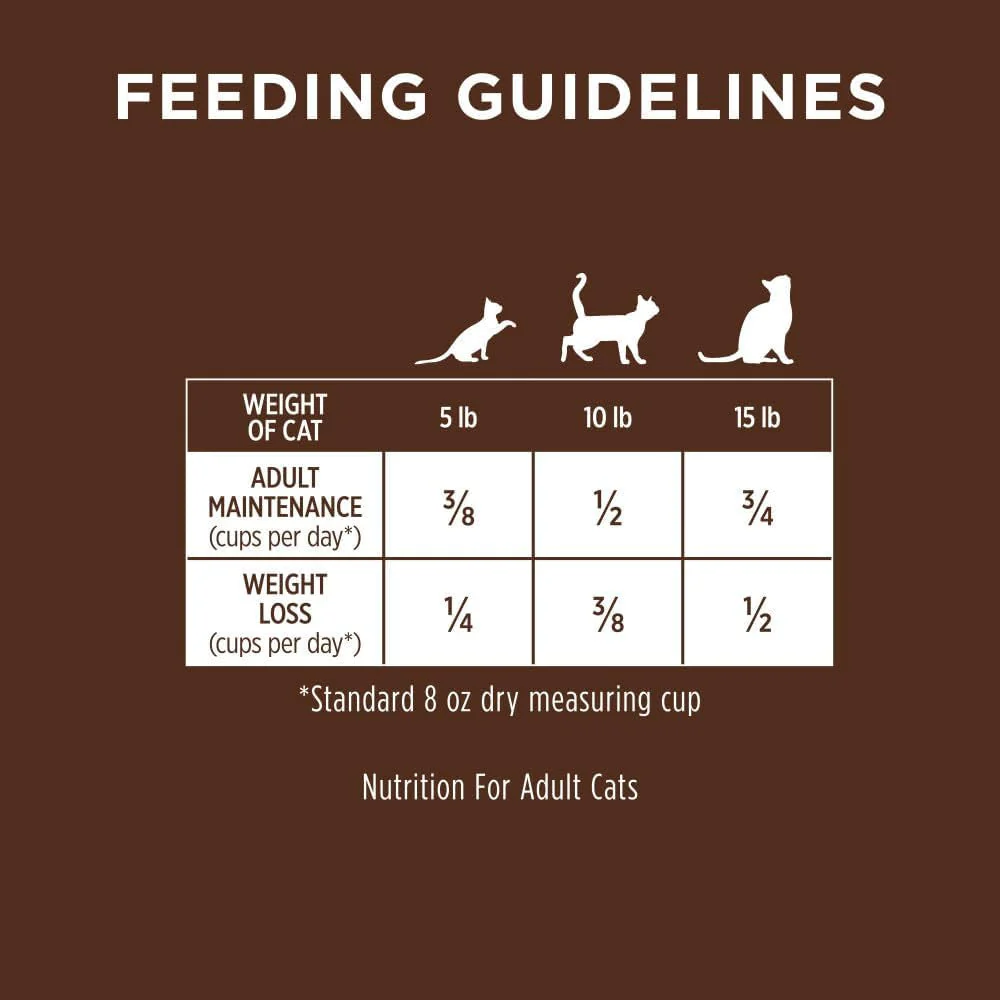 Natural Dry Cat Food, 10 Lb. Bag - Image 11