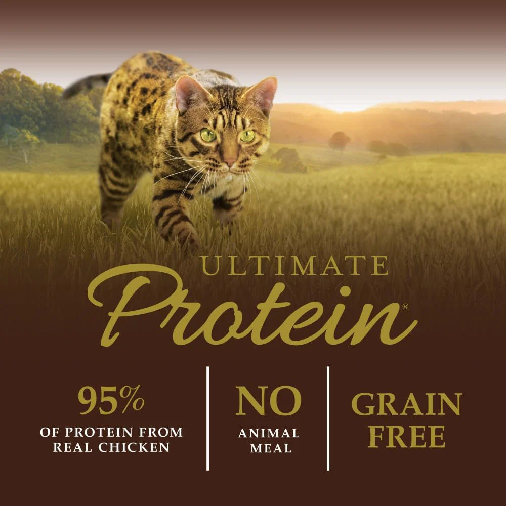 Natural Dry Cat Food, 10 Lb. Bag - Image 4