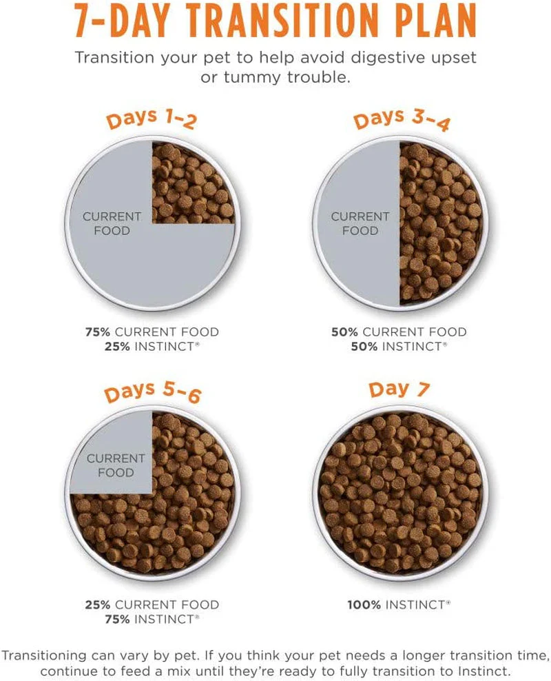 Natural Dry Cat Food, 10 Lb. Bag - Image 8