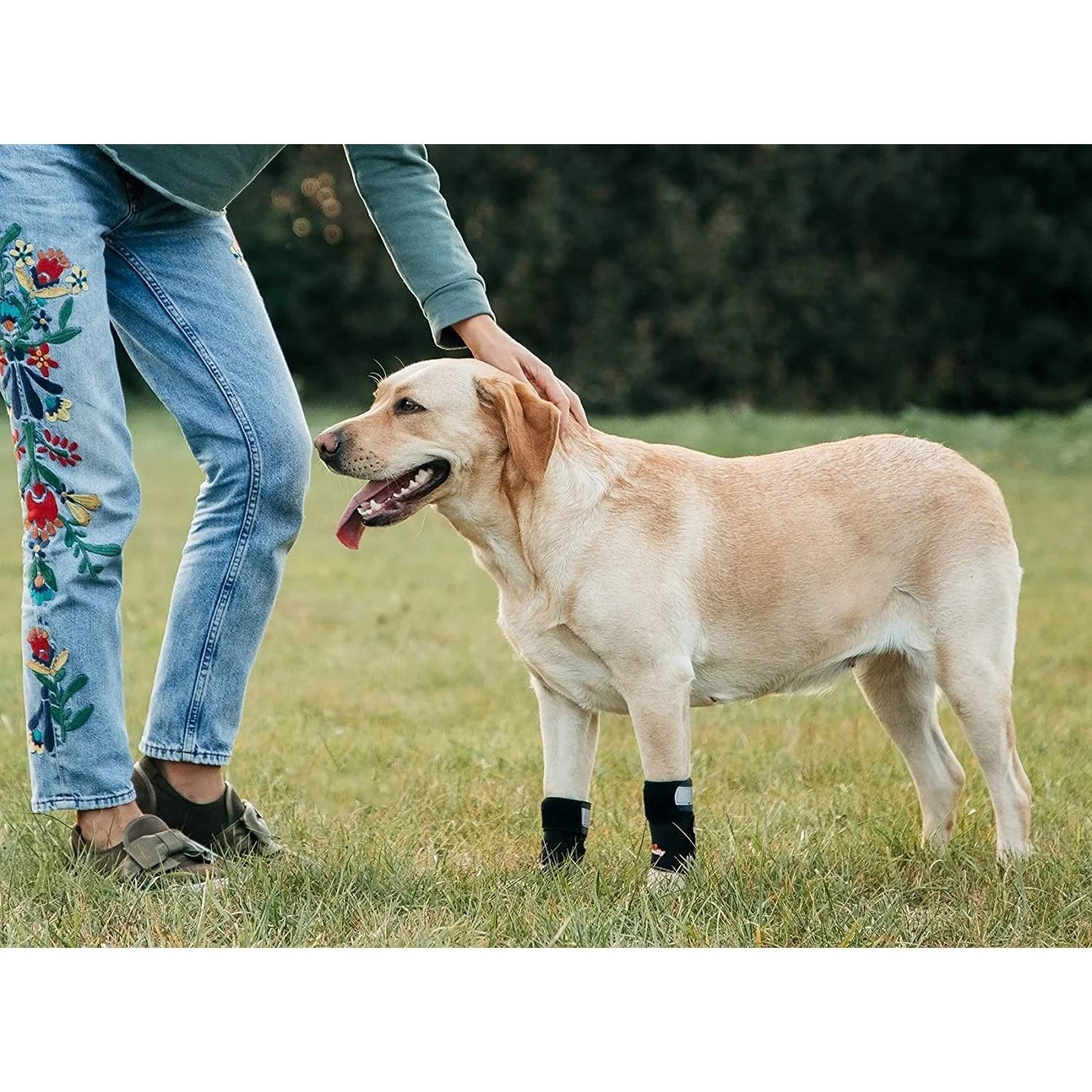 NeoAlly 3-in-1 Front Leg Dog Splint Brace: Rigid & Spring Inserts, Safety Reflective Straps (Pair) - Image 7