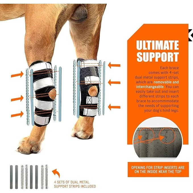 NeoAlly 3-in-1 Long Rear Leg Hock Brace - Rigid and Spring Inserts | Safety Reflective Straps [Long Version] (Pair) - Image 3