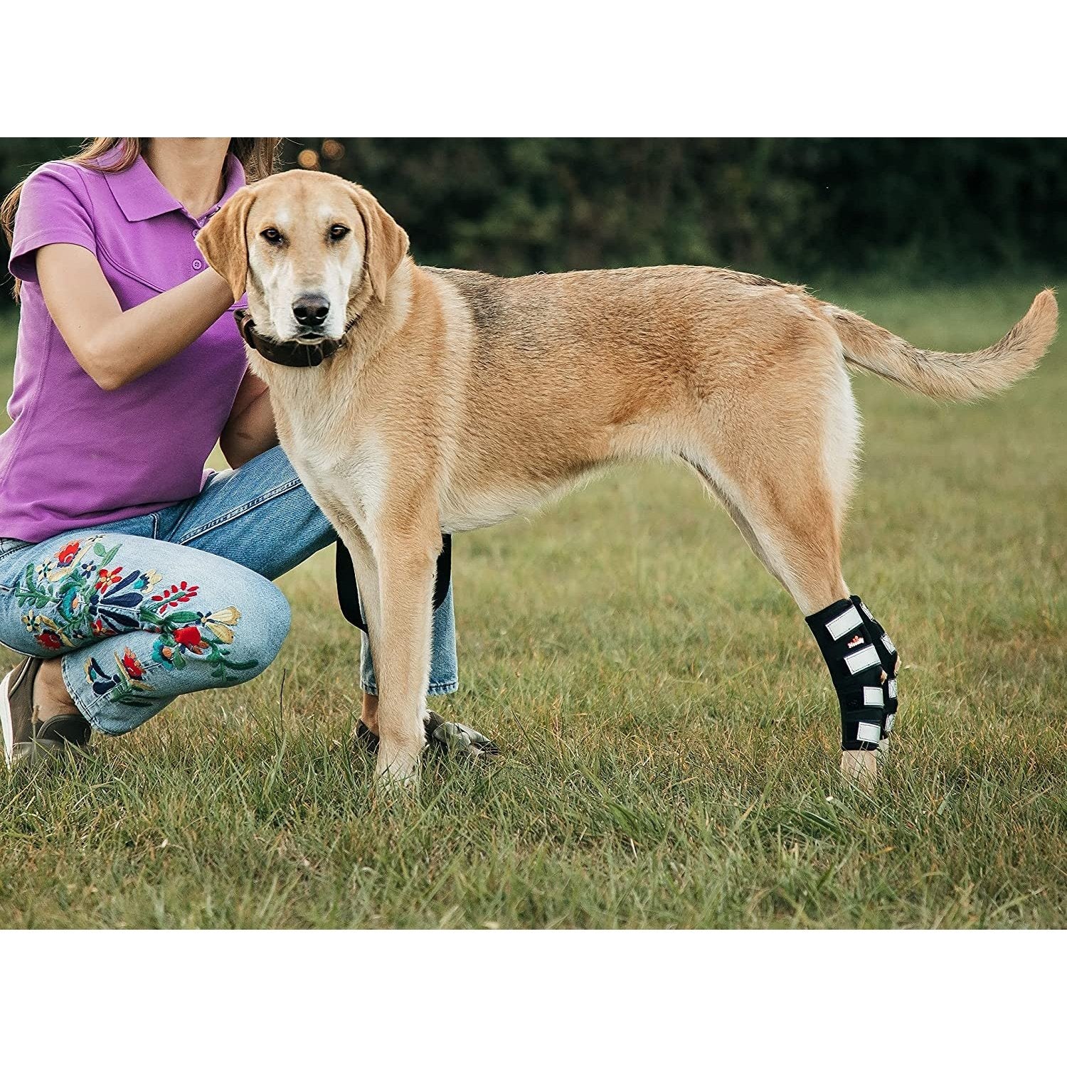 NeoAlly 3-in-1 Long Rear Leg Hock Brace - Rigid and Spring Inserts | Safety Reflective Straps [Long Version] (Pair) - Image 7