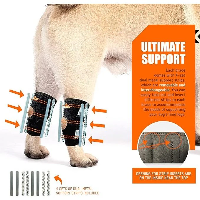 NeoAlly 3-in-1 Short Rear Leg Hock Brace for Smaller Dogs with Rigid and Spring Inserts | Safety Reflective Straps [Short Version] (Pair) - Image 2