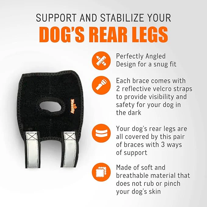 NeoAlly 3-in-1 Short Rear Leg Hock Brace for Smaller Dogs with Rigid and Spring Inserts | Safety Reflective Straps [Short Version] (Pair) - Image 4