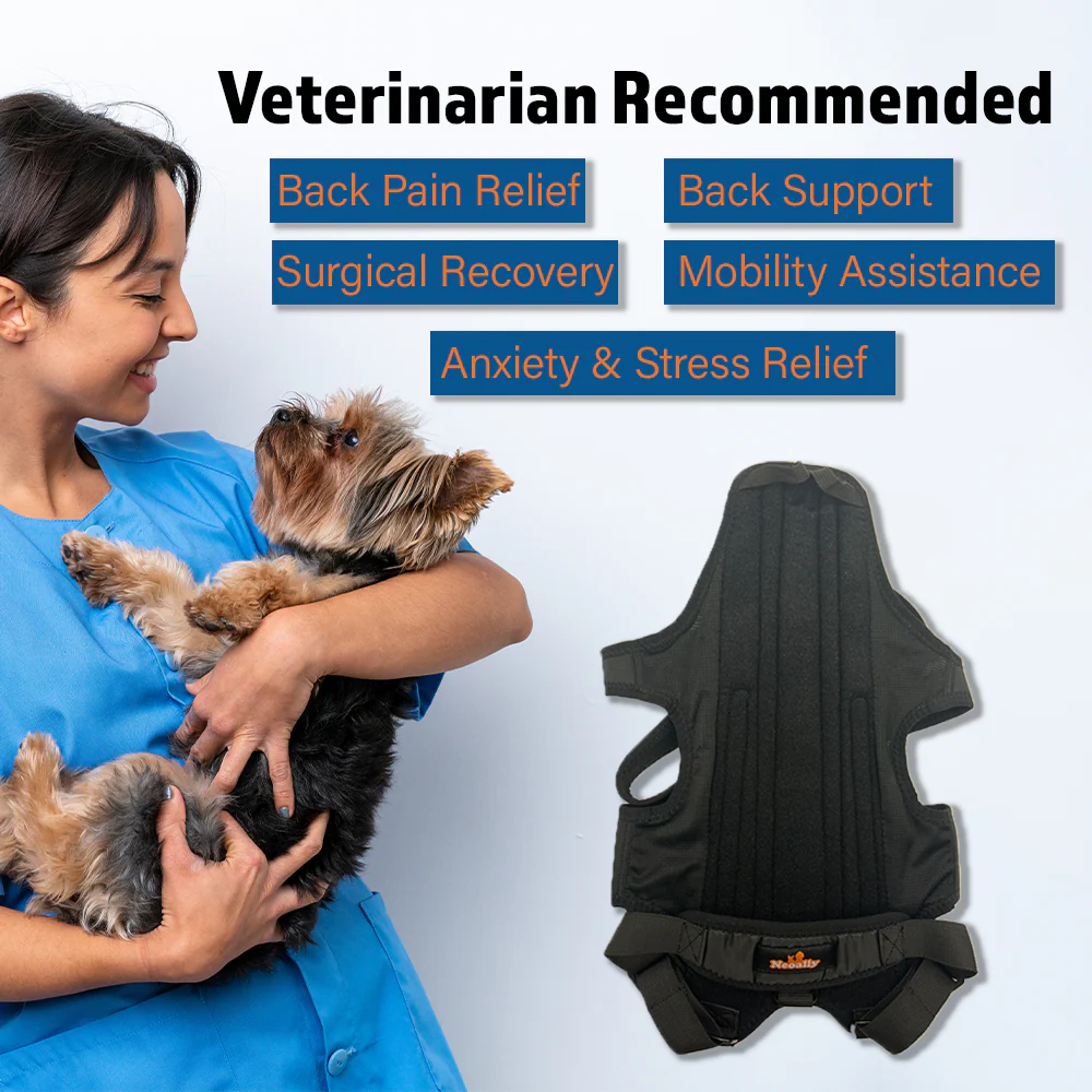 NeoAlly Dog Back Brace for Dogs with Inserts for Extra Support - Image 2