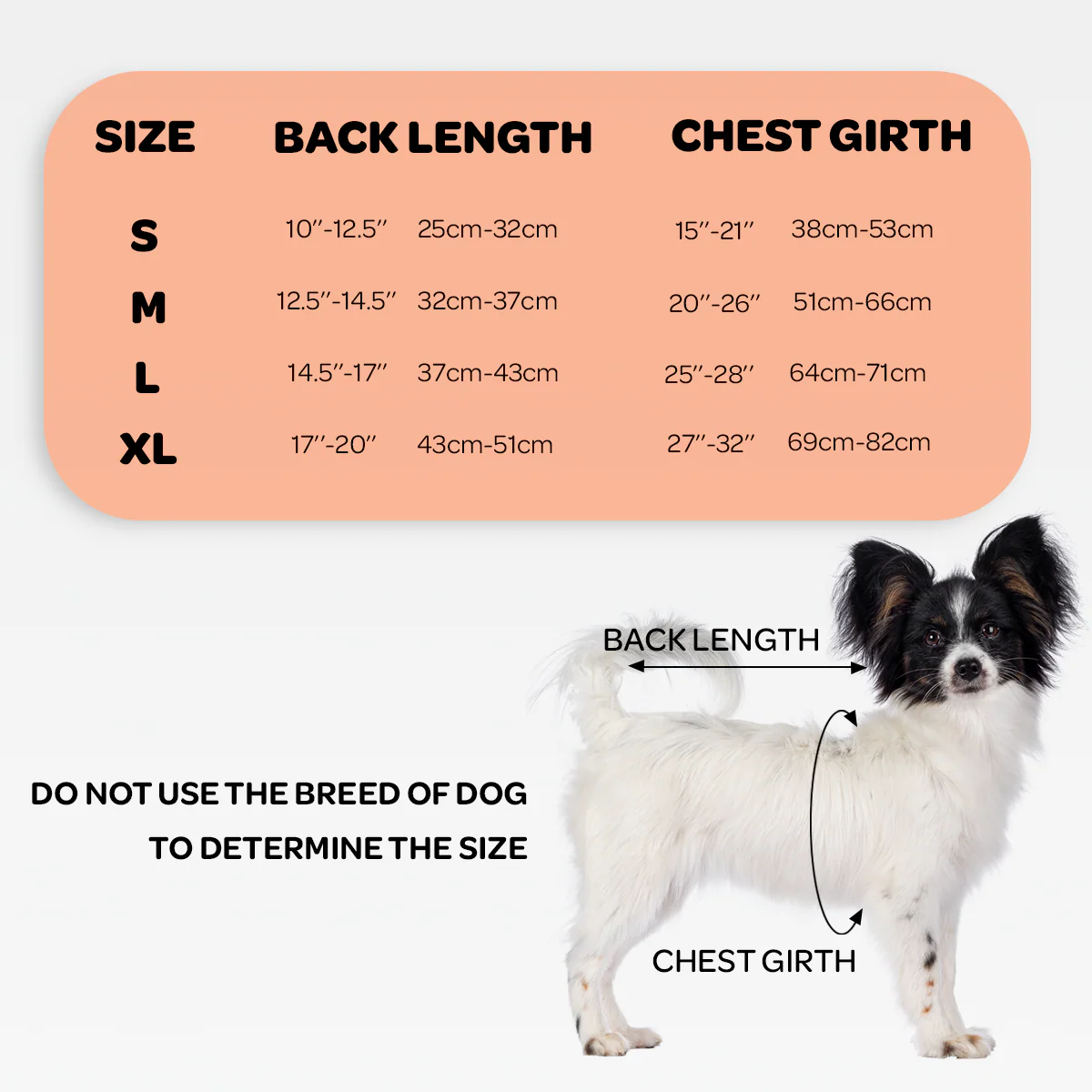 NeoAlly Dog Back Brace for Dogs with Inserts for Extra Support - Image 3