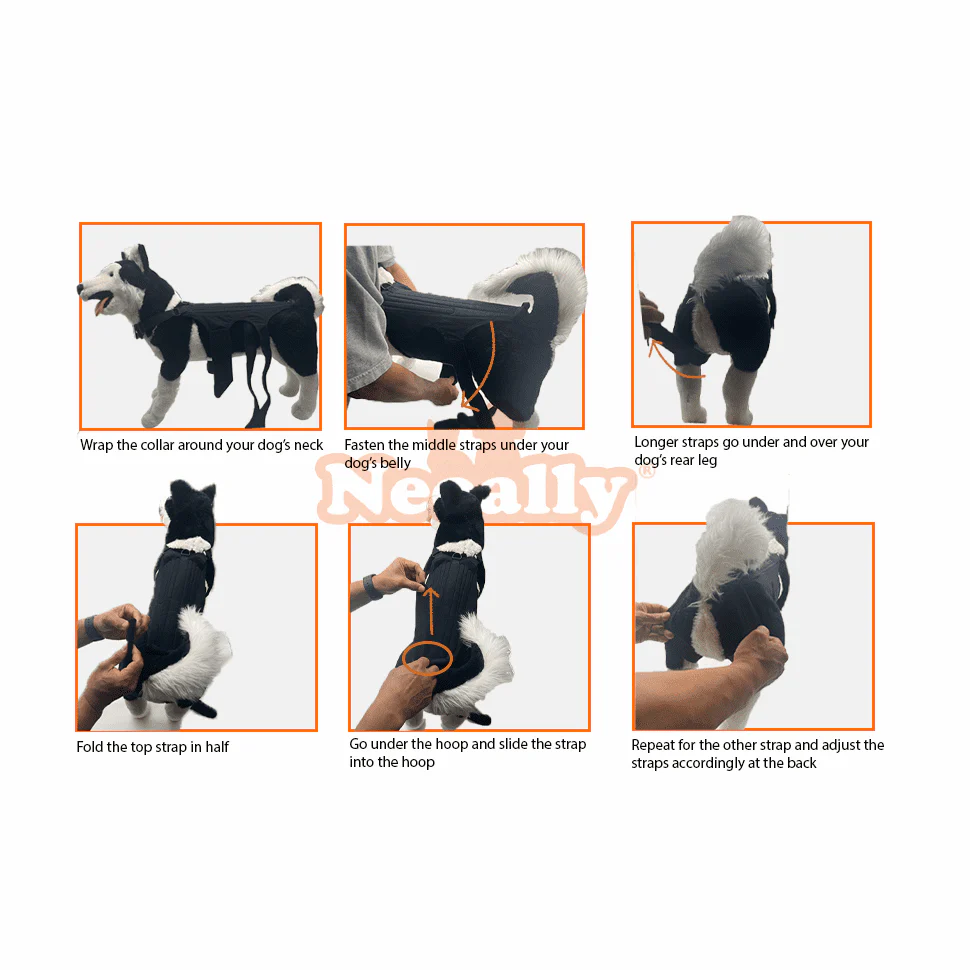 NeoAlly Dog Back Brace for Dogs with Inserts for Extra Support - Image 4