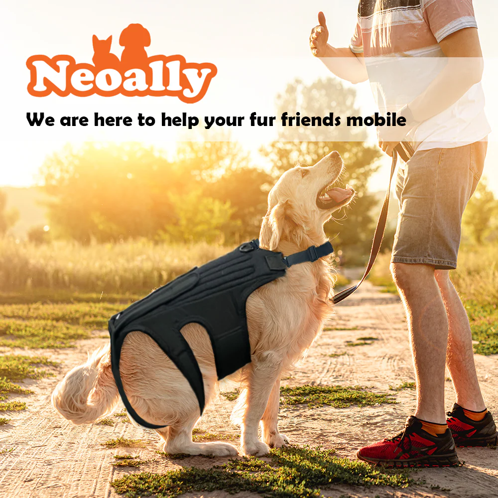 NeoAlly Dog Back Brace for Dogs with Inserts for Extra Support - Image 5