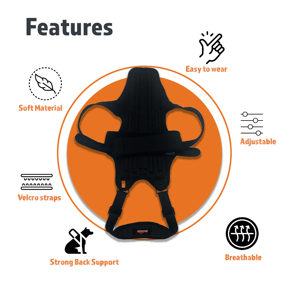 NeoAlly Dog Back Brace for Dogs with Inserts for Extra Support - Image 6