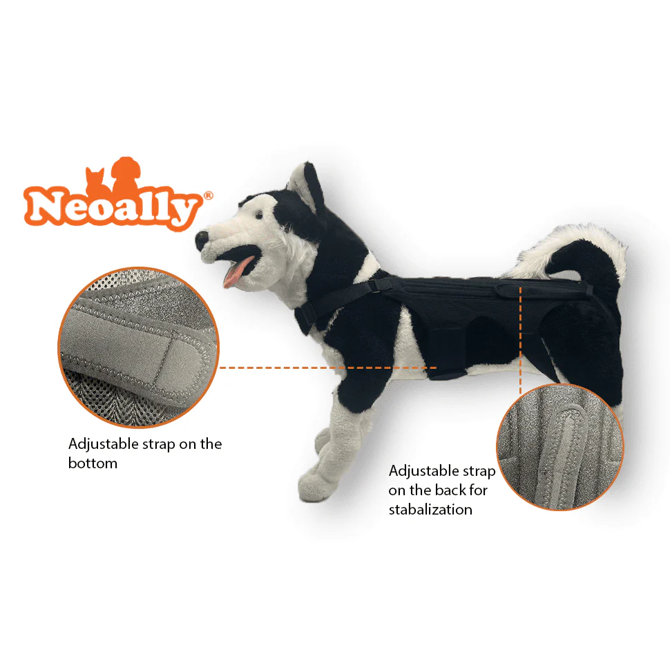 NeoAlly Dog Back Brace for Dogs with Inserts for Extra Support - Image 7
