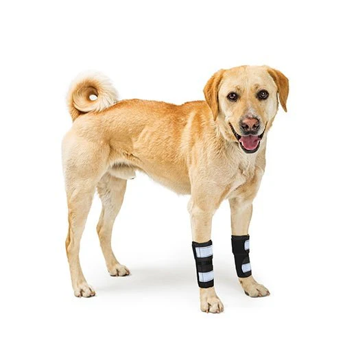 NeoAlly Dog Front Leg Brace with Reflective Straps - Metal Spring Inserts for Carpal Support (Pair) - Image 2
