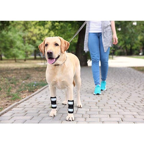 NeoAlly Dog Front Leg Brace with Reflective Straps - Metal Spring Inserts for Carpal Support (Pair) - Image 8