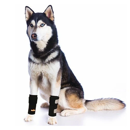NeoAlly Dog Front Leg Braces: Enhance Safety with Reflective Straps (Pair) - Image 2