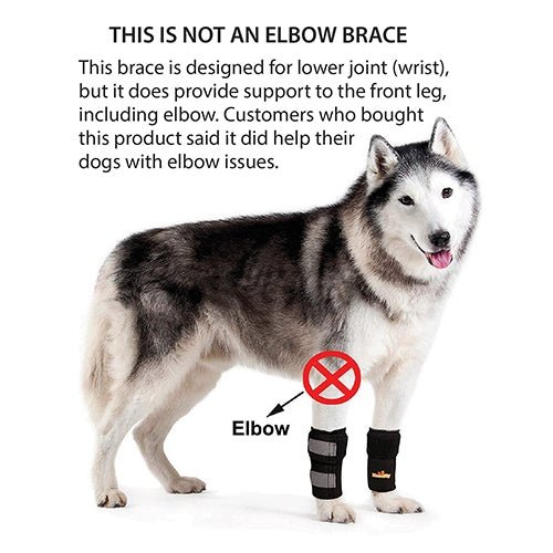 NeoAlly Dog Front Leg Braces: Enhance Safety with Reflective Straps (Pair) - Image 5