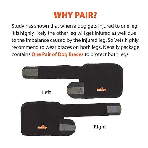 NeoAlly Dog Front Leg Braces: Enhance Safety with Reflective Straps (Pair) - Image 6