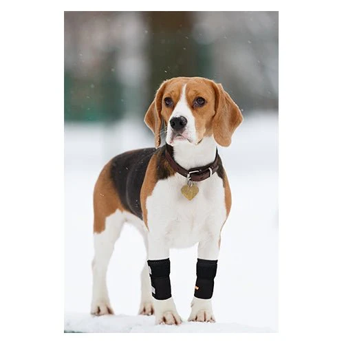 NeoAlly Dog Front Leg Braces: Enhance Safety with Reflective Straps (Pair) - Image 7