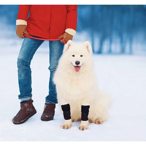NeoAlly Dog Front Leg Braces: Enhance Safety with Reflective Straps (Pair) - Image 8