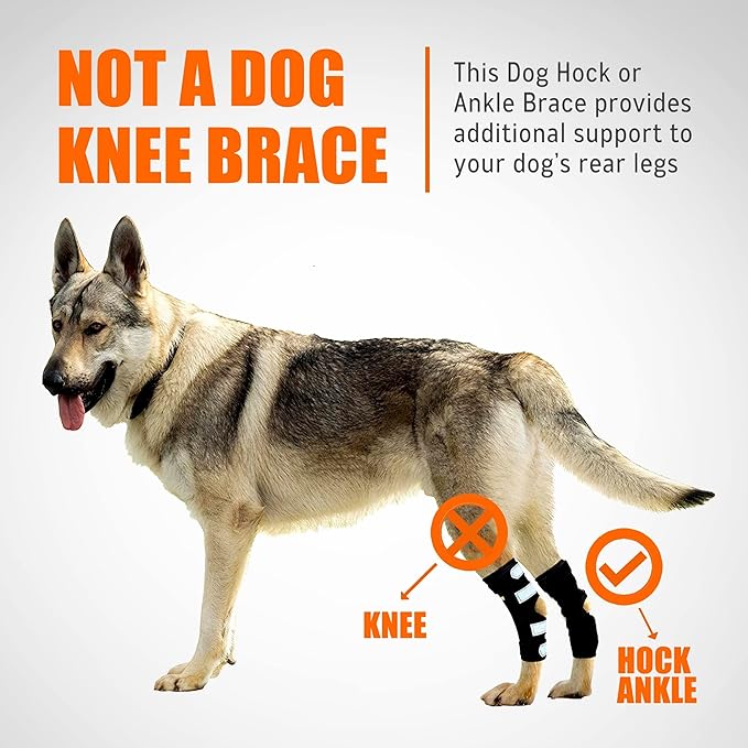 NeoAlly Dog Rear Leg Hock Brace with Metal Spring Strips for Large Dogs [Long Version] (Pair) - Image 4