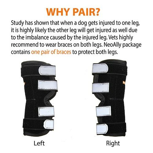 NeoAlly Dog Rear Leg Hock Brace with Metal Spring Strips for Large Dogs [Long Version] (Pair) - Image 6