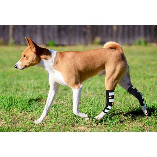 NeoAlly Dog Rear Leg Hock Brace with Metal Spring Strips for Large Dogs [Long Version] (Pair) - Image 7